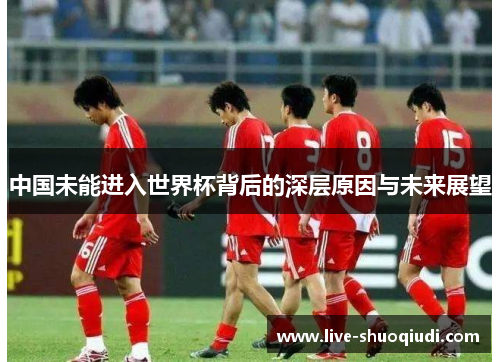 中国未能进入世界杯背后的深层原因与未来展望
