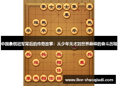 中国象棋冠军背后的传奇故事：从少年天才到世界巅峰的奋斗历程