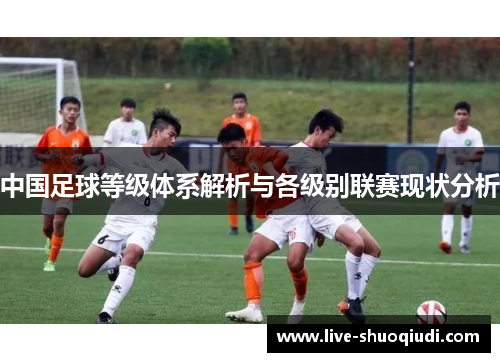中国足球等级体系解析与各级别联赛现状分析