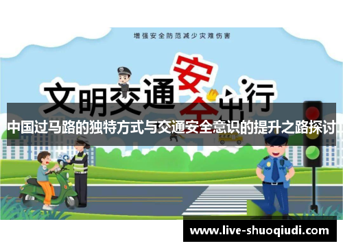 中国过马路的独特方式与交通安全意识的提升之路探讨