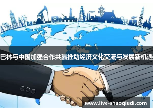 巴林与中国加强合作共赢推动经济文化交流与发展新机遇